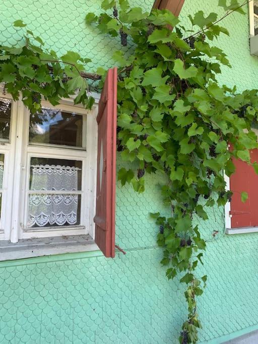 Allgaeu Cottage - Traumhafter Blick In Die Schweizer Berge Weiler-Simmerberg Esterno foto
