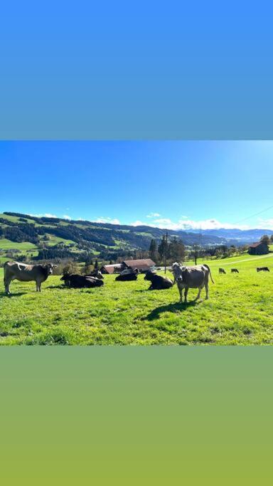 Allgaeu Cottage - Traumhafter Blick In Die Schweizer Berge Weiler-Simmerberg Esterno foto