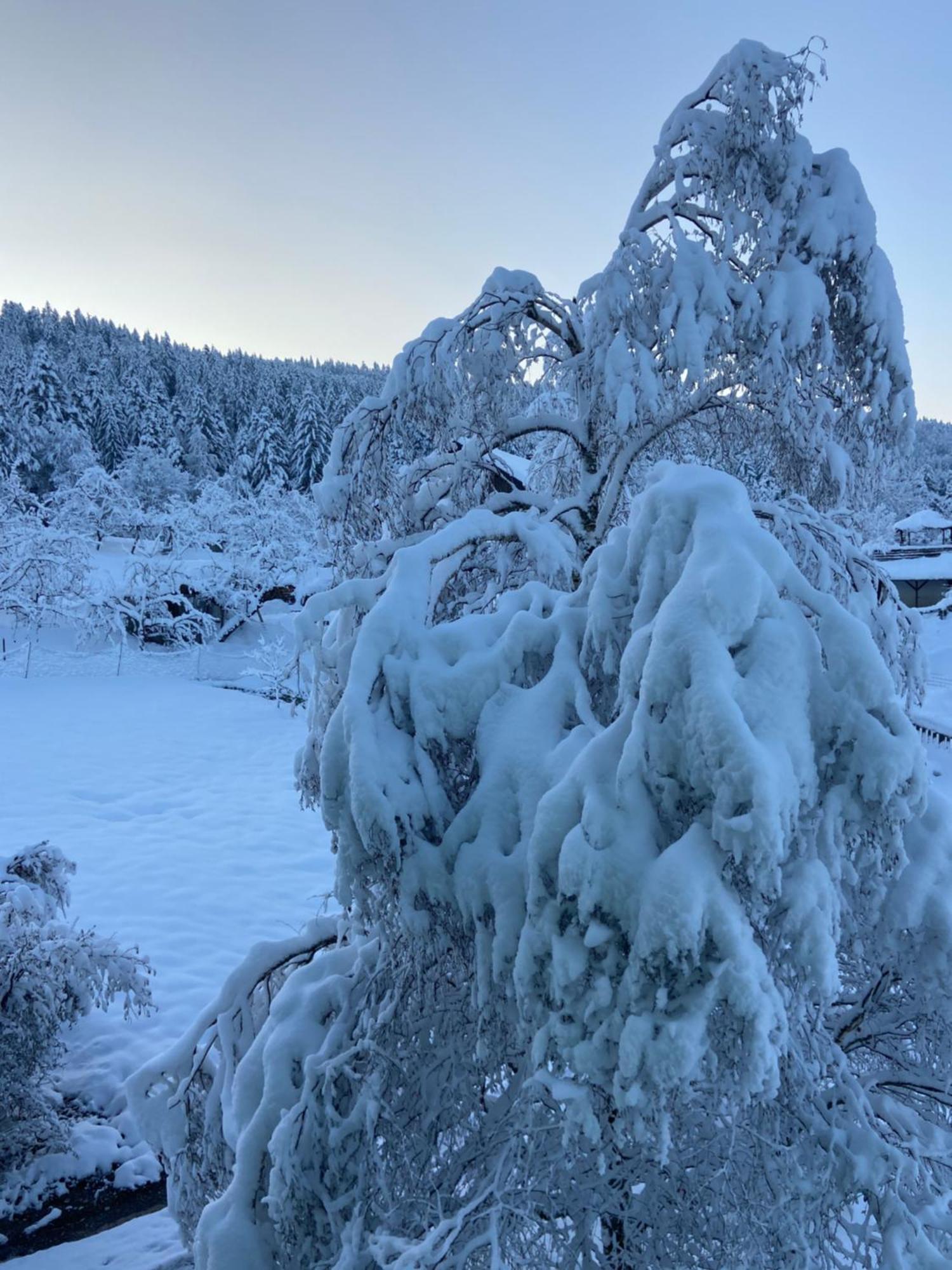 Allgaeu Cottage - Traumhafter Blick In Die Schweizer Berge Weiler-Simmerberg Esterno foto