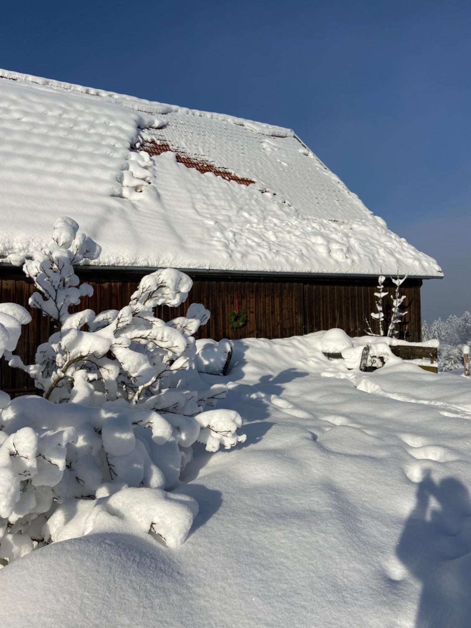 Allgaeu Cottage - Traumhafter Blick In Die Schweizer Berge Weiler-Simmerberg Esterno foto